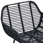 Dining Chair 2 pcs Black 55 x 50 x 74 cm Rattan and Iron