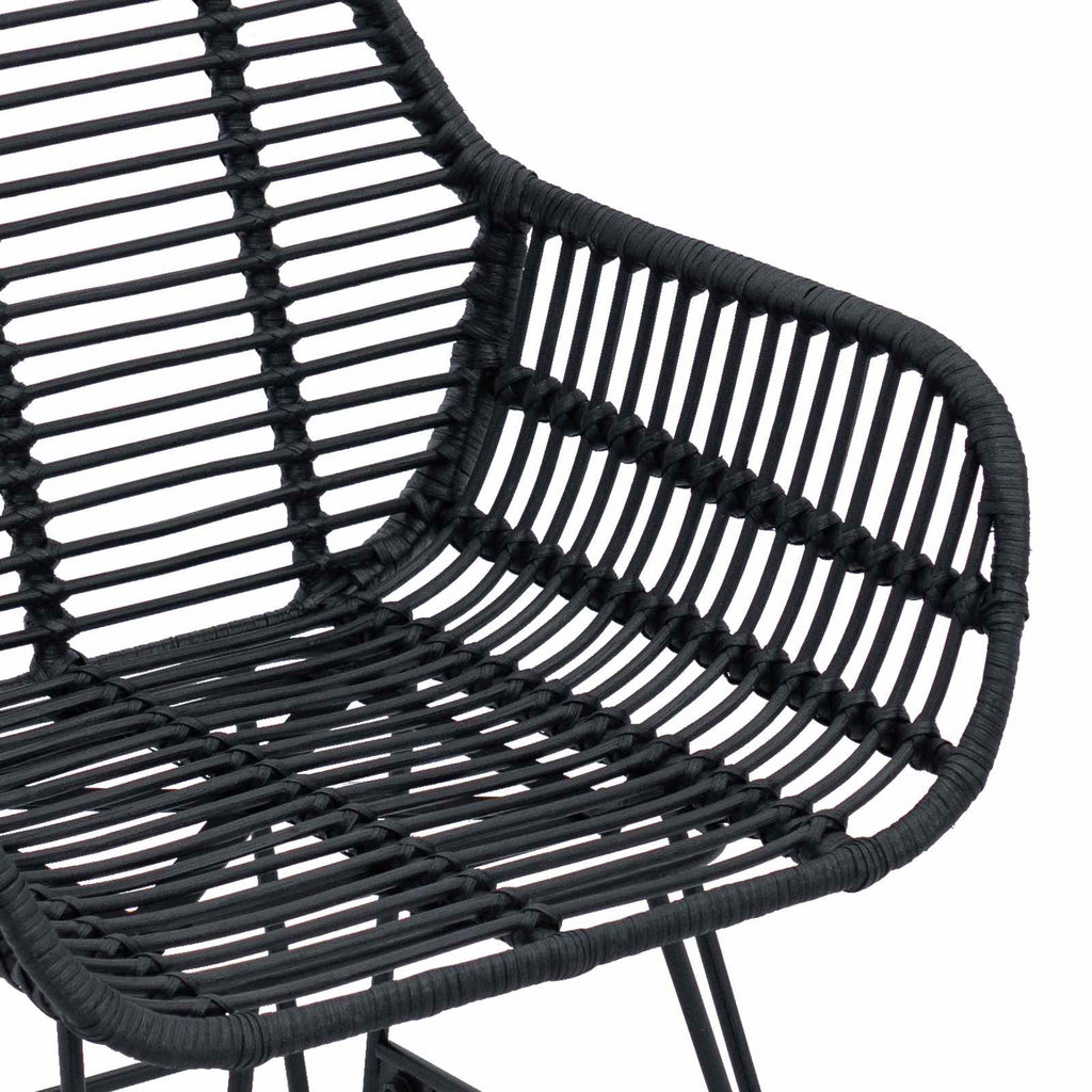 Dining Chair 2 pcs Black 55 x 50 x 74 cm Rattan and Iron