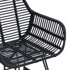 Dining Chair 2 pcs Black 55 x 50 x 74 cm Rattan and Iron