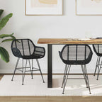 Dining Chair 2 pcs Black 55 x 50 x 74 cm Rattan and Iron