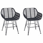 Dining Chair 2 pcs Black 55 x 50 x 74 cm Rattan and Iron
