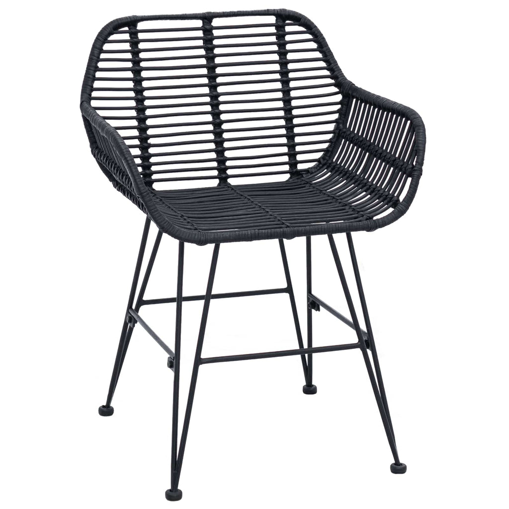 Dining Chair 2 pcs Black 55 x 50 x 74 cm Rattan and Iron