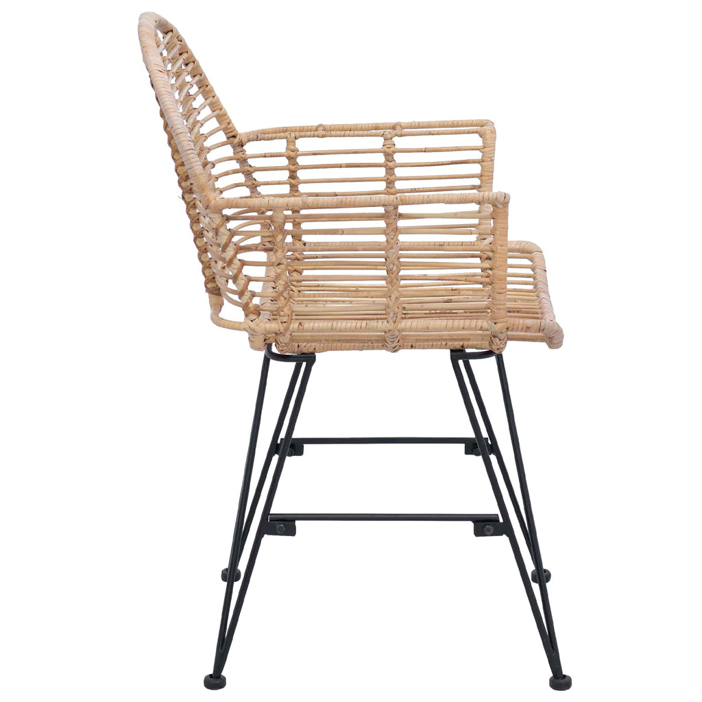 Dining Chair 2 pcs Natural 44 x 44 x 74 cm Rattan and Iron