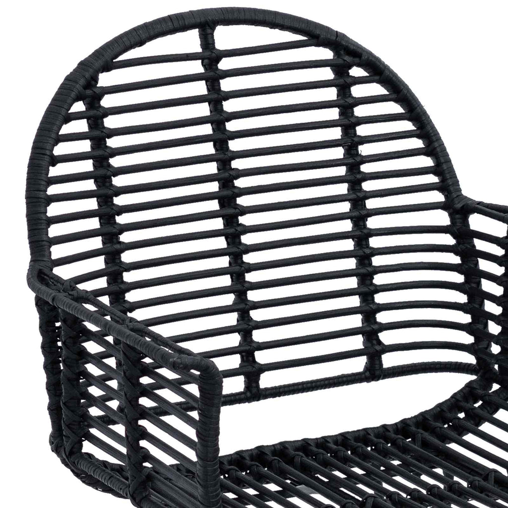 Dining Chair 2 pcs Black 44 x 44 x 74 cm Rattan and Iron