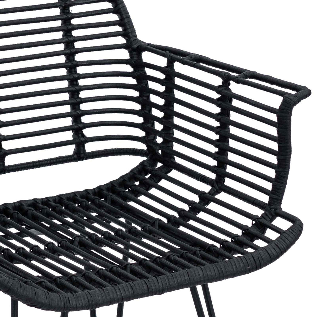 Dining Chair 2 pcs Black 44 x 44 x 74 cm Rattan and Iron