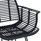 Dining Chair 2 pcs Black 44 x 44 x 74 cm Rattan and Iron