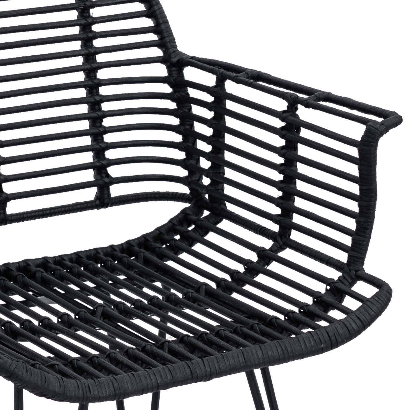 Dining Chair 2 pcs Black 44 x 44 x 74 cm Rattan and Iron