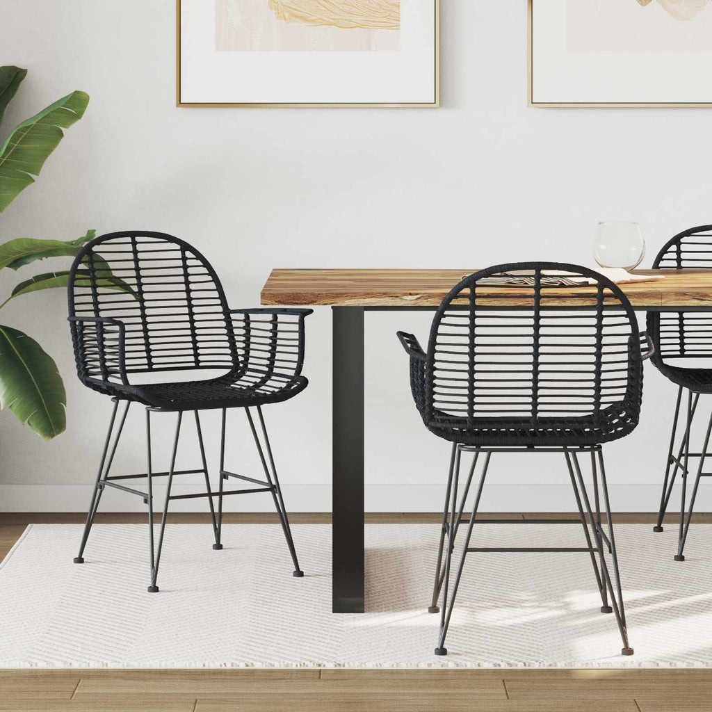 Dining Chair 2 pcs Black 44 x 44 x 74 cm Rattan and Iron