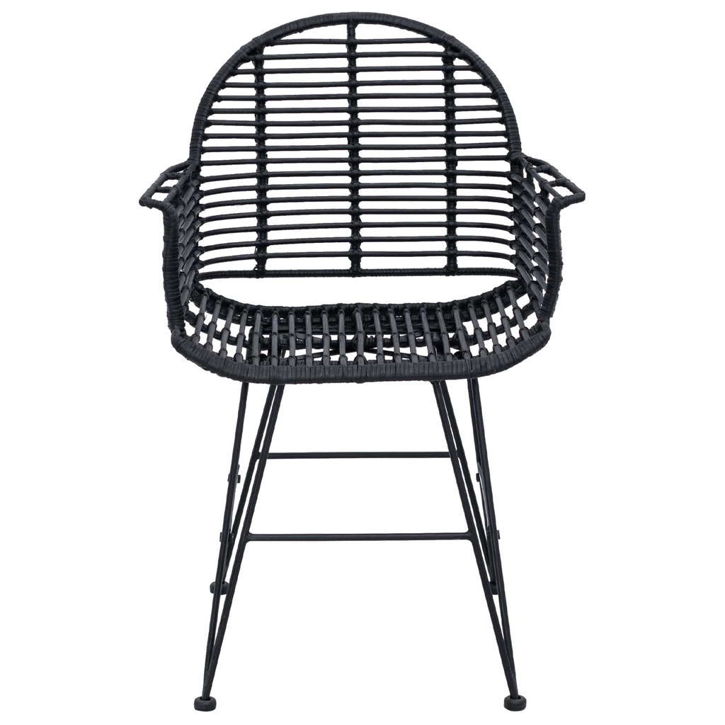 Dining Chair 2 pcs Black 44 x 44 x 74 cm Rattan and Iron