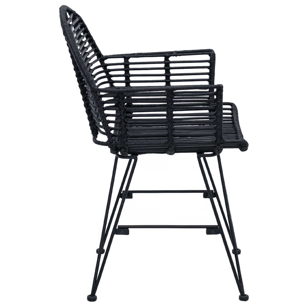 Dining Chair 2 pcs Black 44 x 44 x 74 cm Rattan and Iron