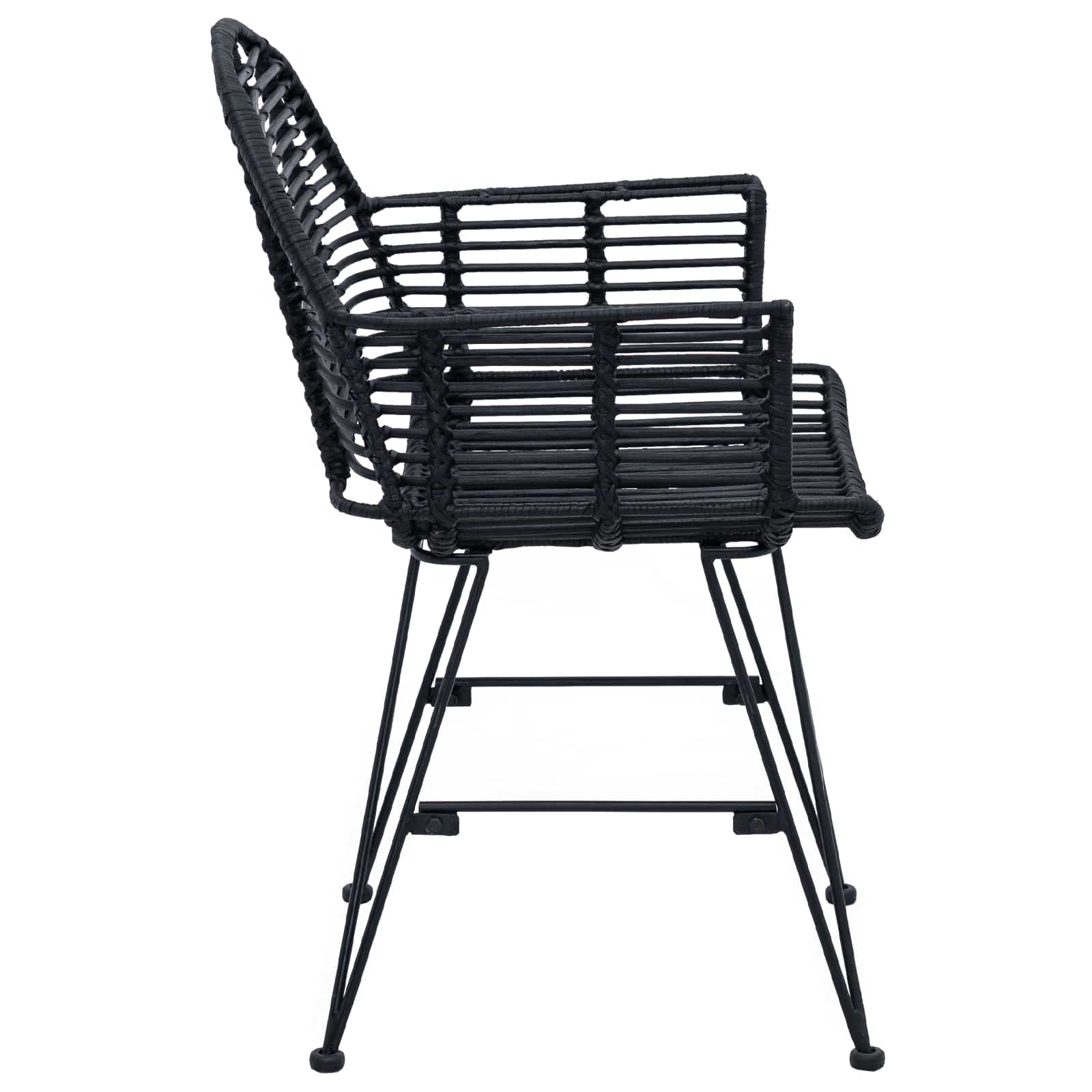 Dining Chair 2 pcs Black 44 x 44 x 74 cm Rattan and Iron