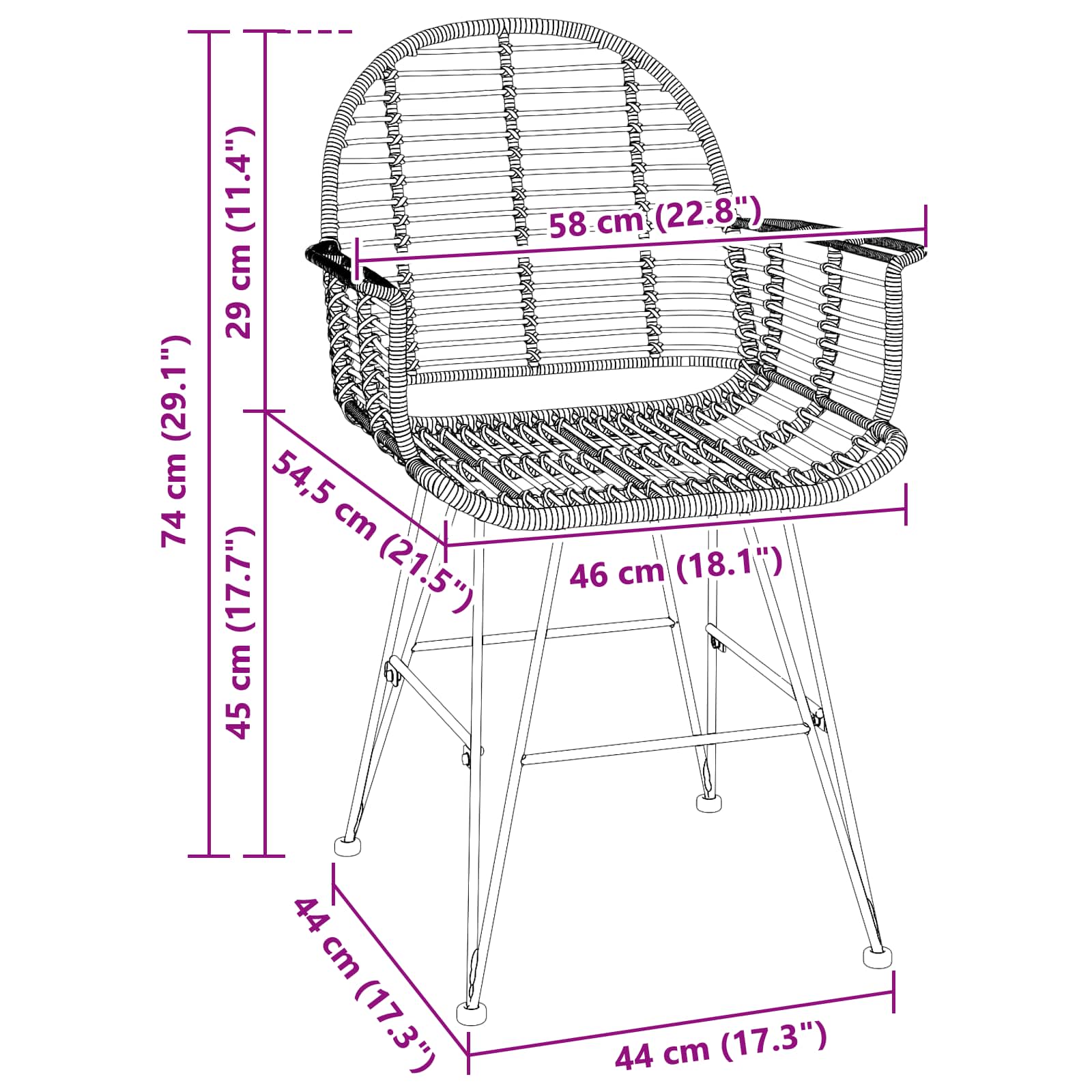 Dining Chair 2 pcs Black 44 x 44 x 74 cm Rattan and Iron