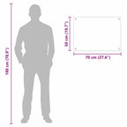 Kitchen Backsplash Transparent 70 x 50 cm Tempered Glass