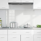 Kitchen Backsplash Transparent 100 x 60 cm Tempered Glass