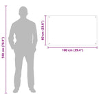 Kitchen Backsplash Transparent 100 x 60 cm Tempered Glass