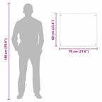 Kitchen Backsplash Black 70 x 60 cm Tempered Glass