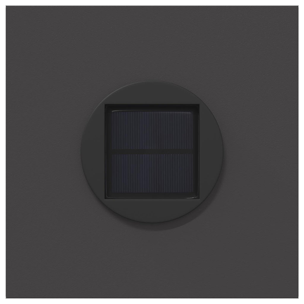 Solar LED Pathway Light 2 pcs Black Cold Rolled Steel