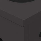 Solar LED Pathway Light 2 pcs Black Cold Rolled Steel