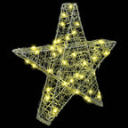 3D Star with 50 LEDs Warm white 55 x 53.5 x 10 cm Acrylic