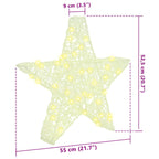 3D Star with 50 LEDs Warm white 55 x 53.5 x 10 cm Acrylic