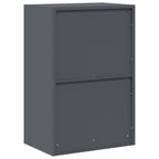Storage Cabinet Anthracite 60 x 40 x 90 cm Cold-Rolled Steel