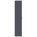 Storage Cabinet with Storage 2 pcs Anthracite 60 x 40 x200 cm