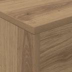 Magazine Rack Artisan Oak 70 x 41 x 156 cm Engineered Wood