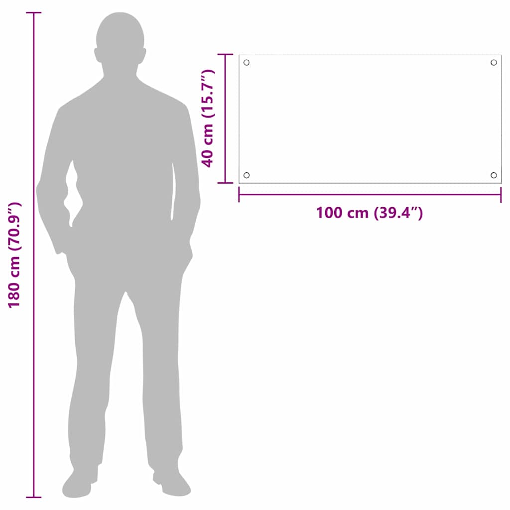 Kitchen Backsplash 2 pcs Transparent 100 x 40 cm Tempered Glass